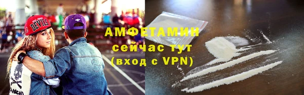 метадон Богданович